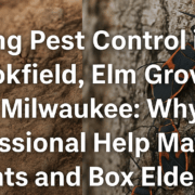Spring pest control for ants and box elder bugs in Brookfield, Elm Grove, and Milwaukee by Premier Pest Solutions